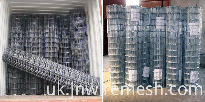 Galvanized-Welded-Wire-Mesh